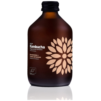 KOMBUCHA Z BRZOSKWINIĄ I TRAWĄ CYTRYNOWĄ BEZGLUTENOWA BIO 330 ml - VIGO