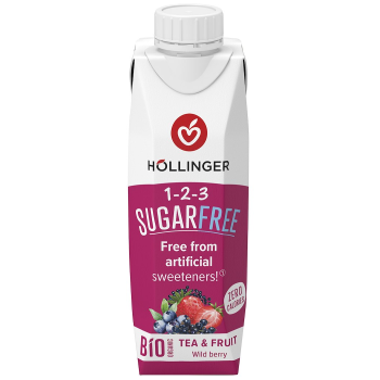 NAPÓJ O SMAKU OWOCÓW LEŚNYCH BEZ CUKRU BIO 300 ml - HOLLINGER