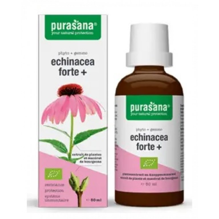 JEŻÓWKA PURPUROWA (ECHINACEA FORTE) KROPLE BIO 50 ml - PURASANA