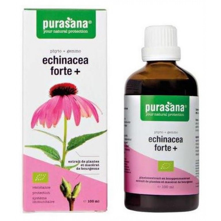 JEŻÓWKA PURPUROWA (ECHINACEA FORTE) KROPLE BIO 100 ml - PURASANA