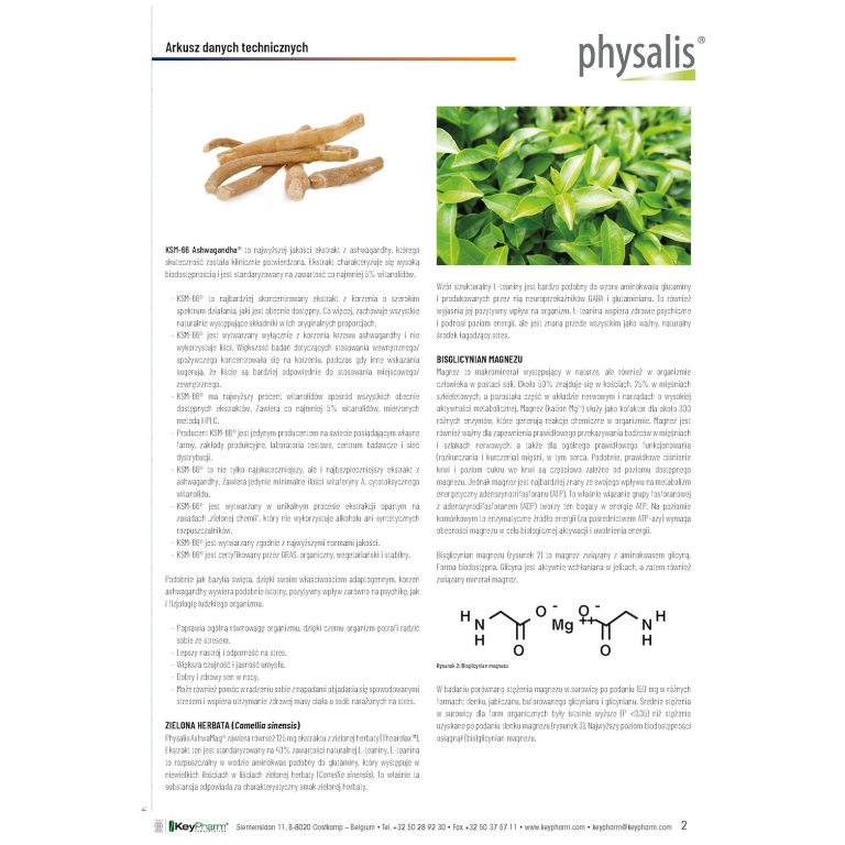 ASHWAGANDHA + MAGNEZ 30 TABLETEK - obrazek 3