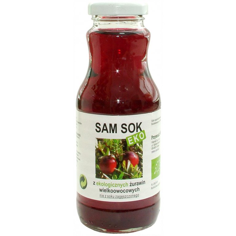 SOK Z ŻURAWINY WIELKOOWOCOWEJ NFC BIO 250 ml - VIANDS (SAM SOK)