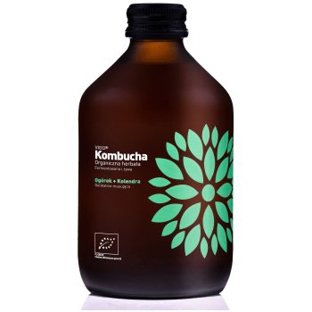 KOMBUCHA Z OGÓRKIEM I KOLENDRĄ BEZGLUTENOWA BIO 330 ml - VIGO