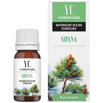 OLEJEK ETERYCZNY SOSNA 10 ml - YOUR CANDLE