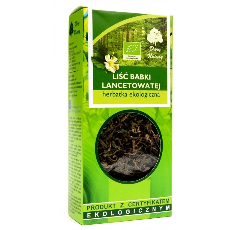 HERBATKA LIŚĆ BABKI LANCETOWATEJ BIO 25 g - DARY NATURY