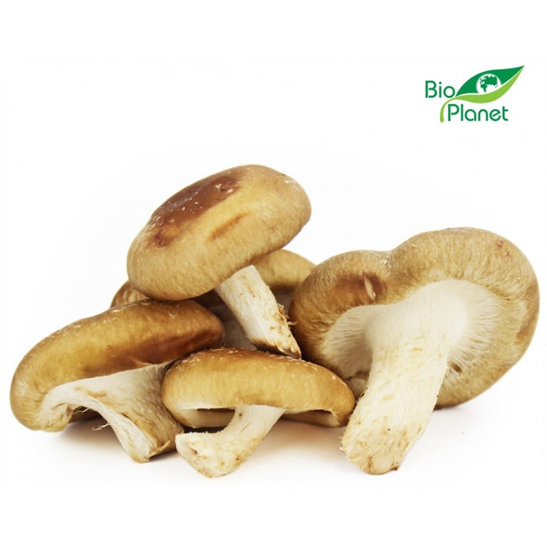 GRZYBY SHIITAKE ŚWIEŻE BIO (POLSKA) (około 0