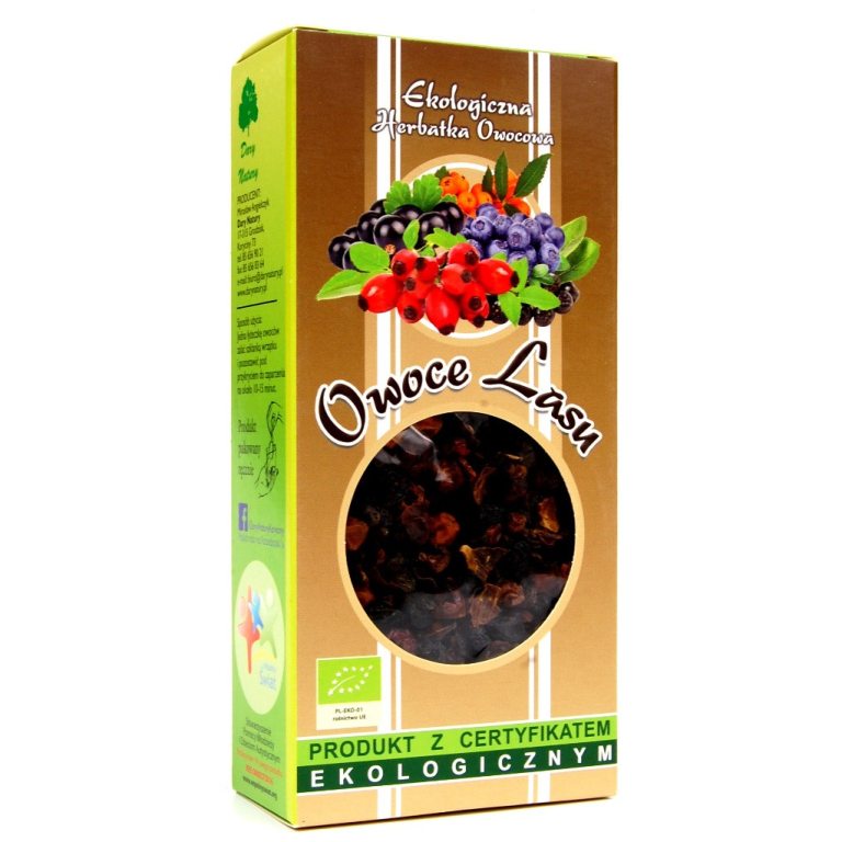 HERBATKA OWOCE LASU BIO 100 g - DARY NATURY