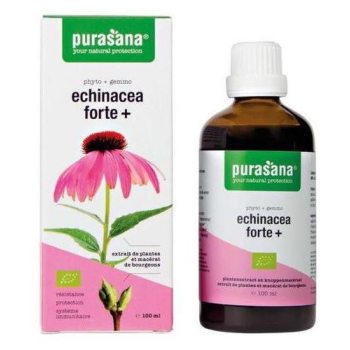 JEŻÓWKA PURPUROWA (ECHINACEA FORTE) KROPLE BIO 100 ml - PURASANA