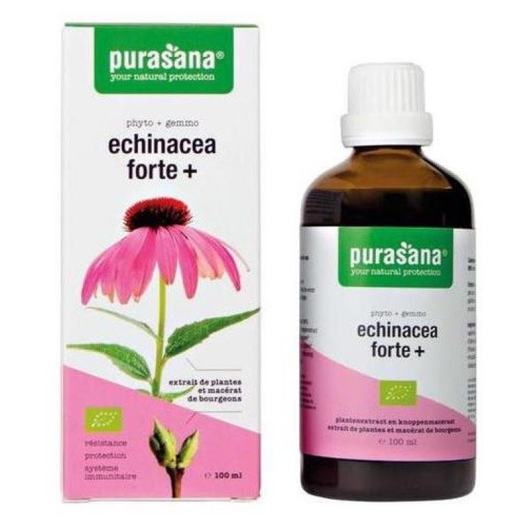 JEŻÓWKA PURPUROWA (ECHINACEA FORTE) KROPLE BIO 100 ml - PURASANA
