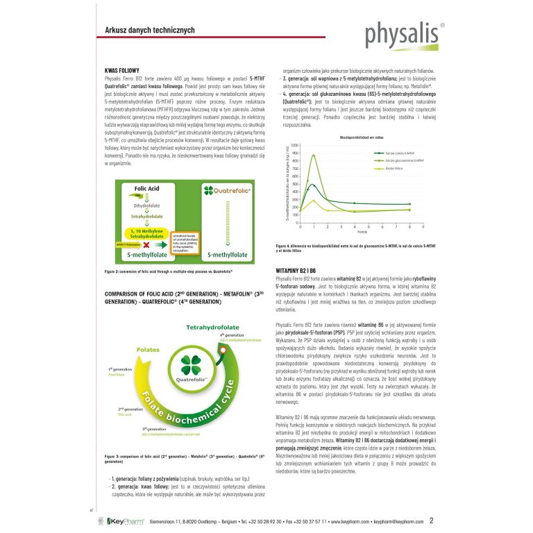 ŻELAZO + WITAMINA B12 FORTE 45 TABLETEK - obrazek 3