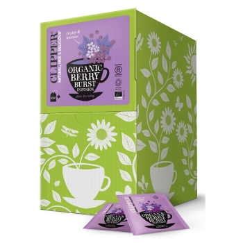 HERBATKA O SMAKU CZARNEJ PORZECZKI I MALINY BIO (250 x 2