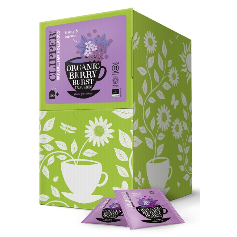 HERBATKA O SMAKU CZARNEJ PORZECZKI I MALINY BIO (250 x 2