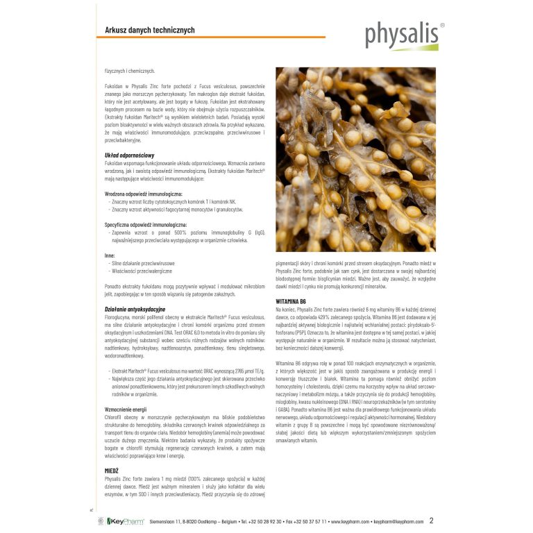 CYNK FORTE 30 TABLETEK - obrazek 3