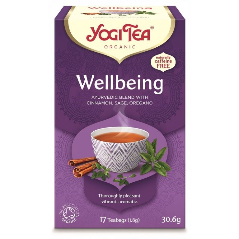 HERBATKA NA DOBRE SAMOPOCZUCIE (WELLBEING) BIO (17 x 1